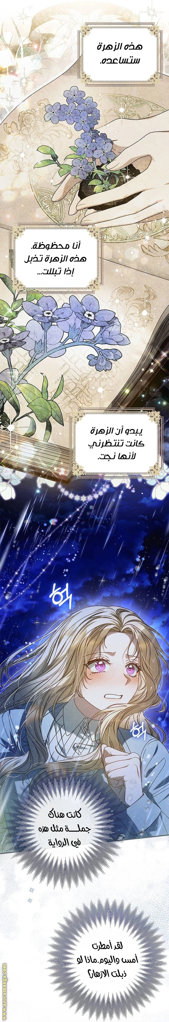 الصفحة 29