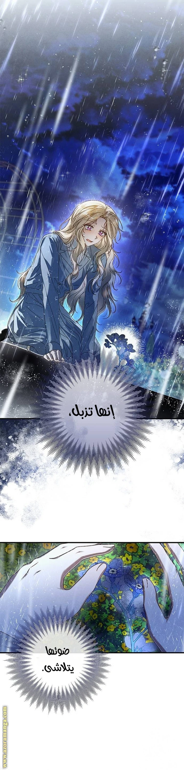 الصفحة 31