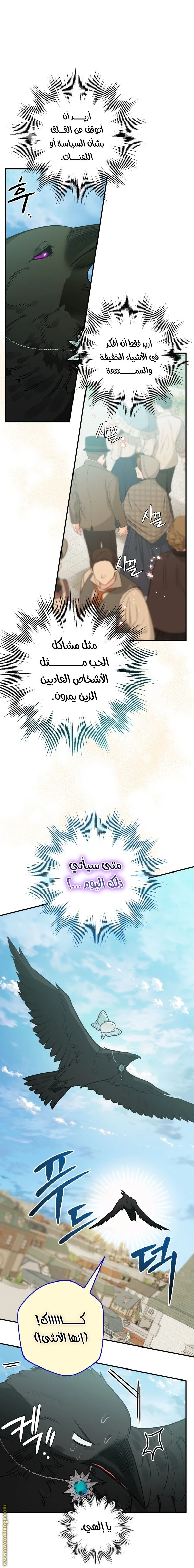 الصفحة 16