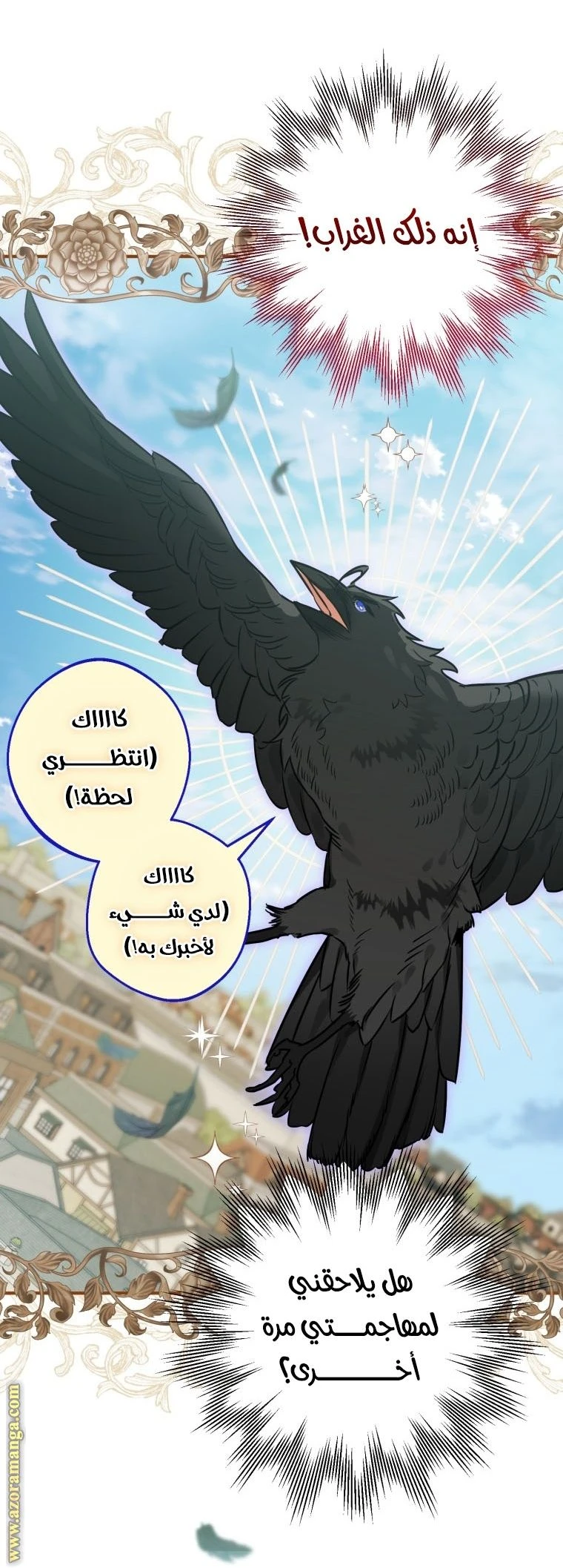 الصفحة 17