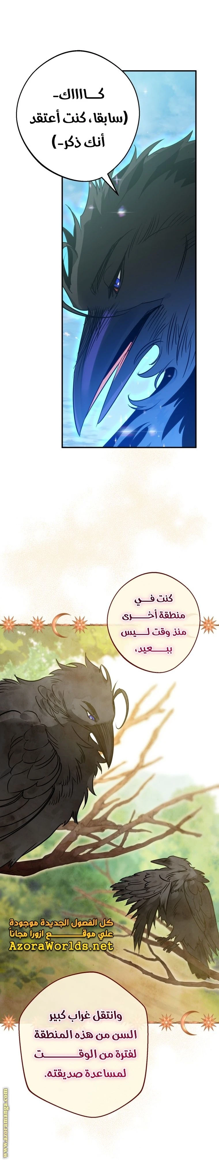 الصفحة 19