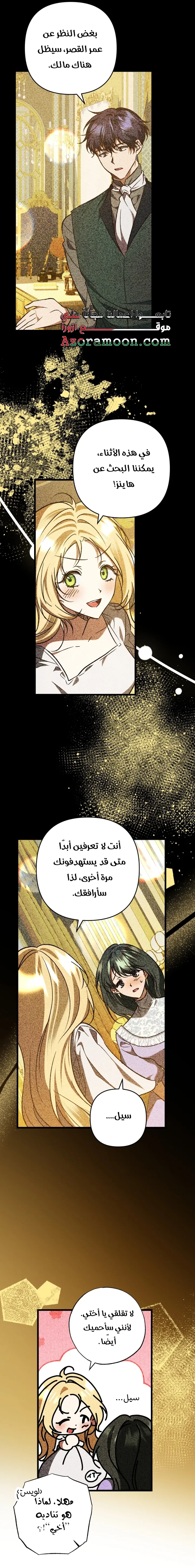 الصفحة 17