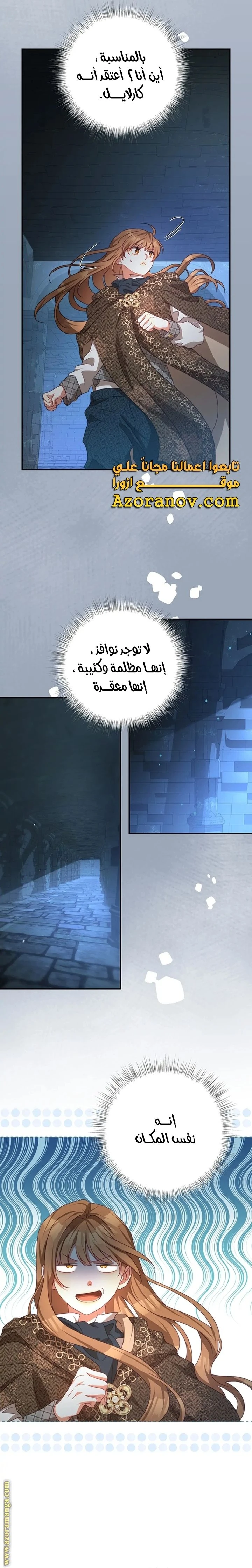 الصفحة 11