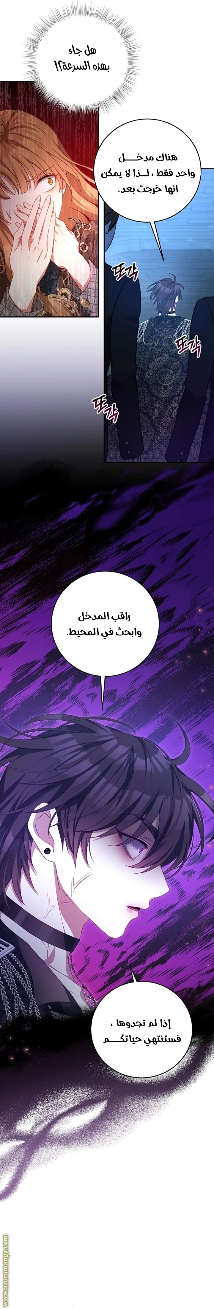 الصفحة 13