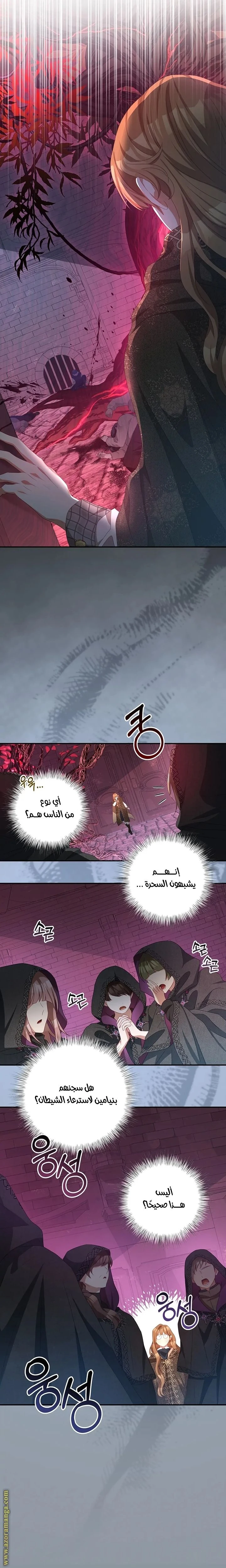 الصفحة 17