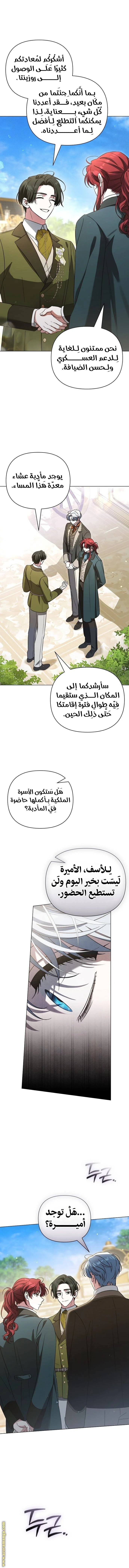 الصفحة 13