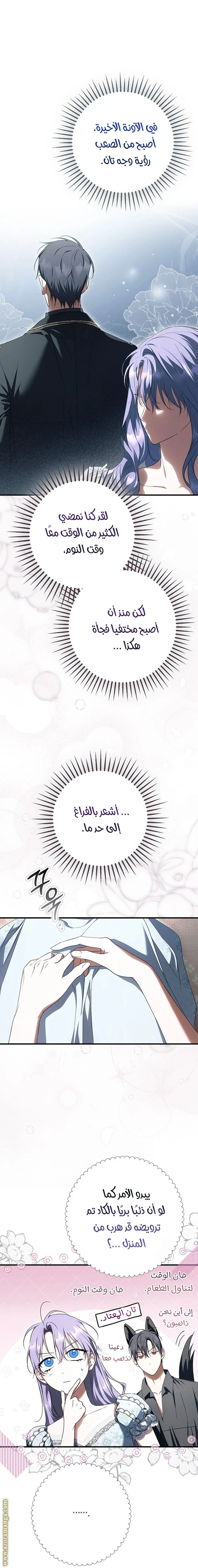 الصفحة 21