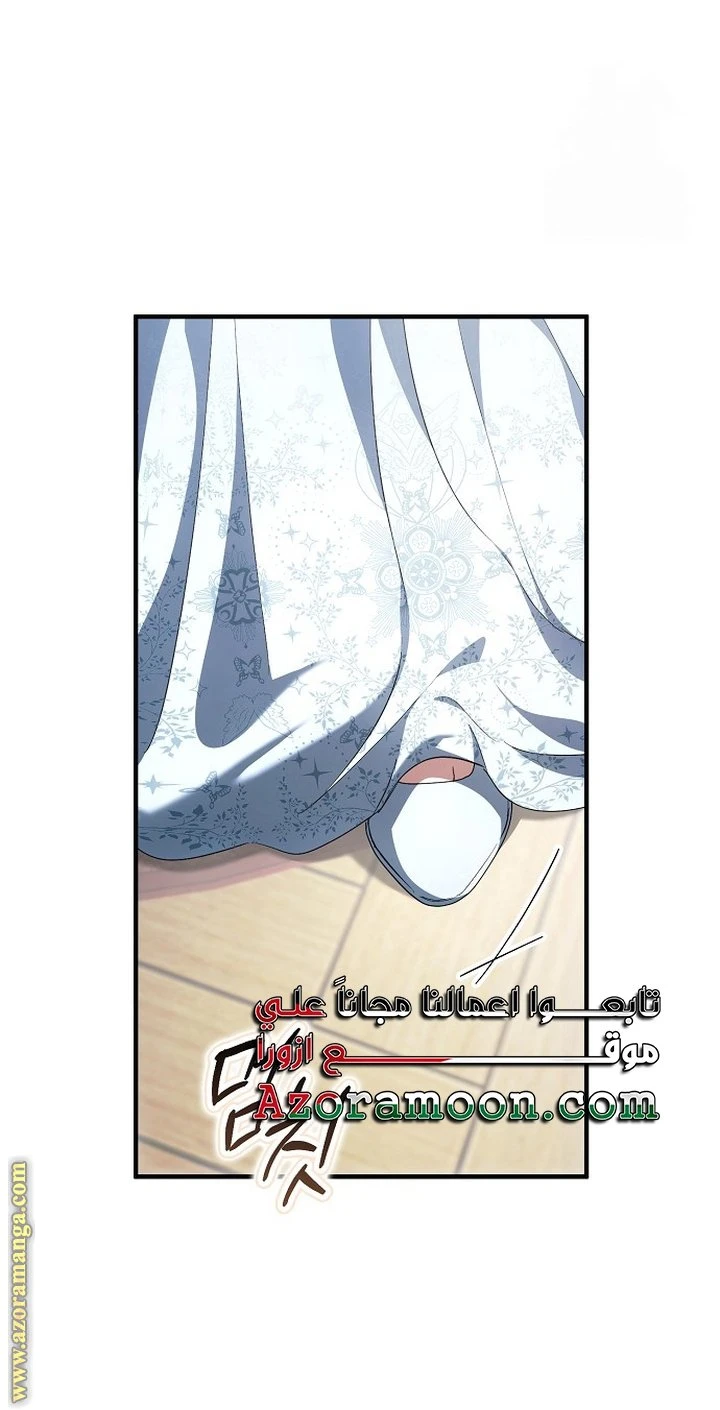 الصفحة 27