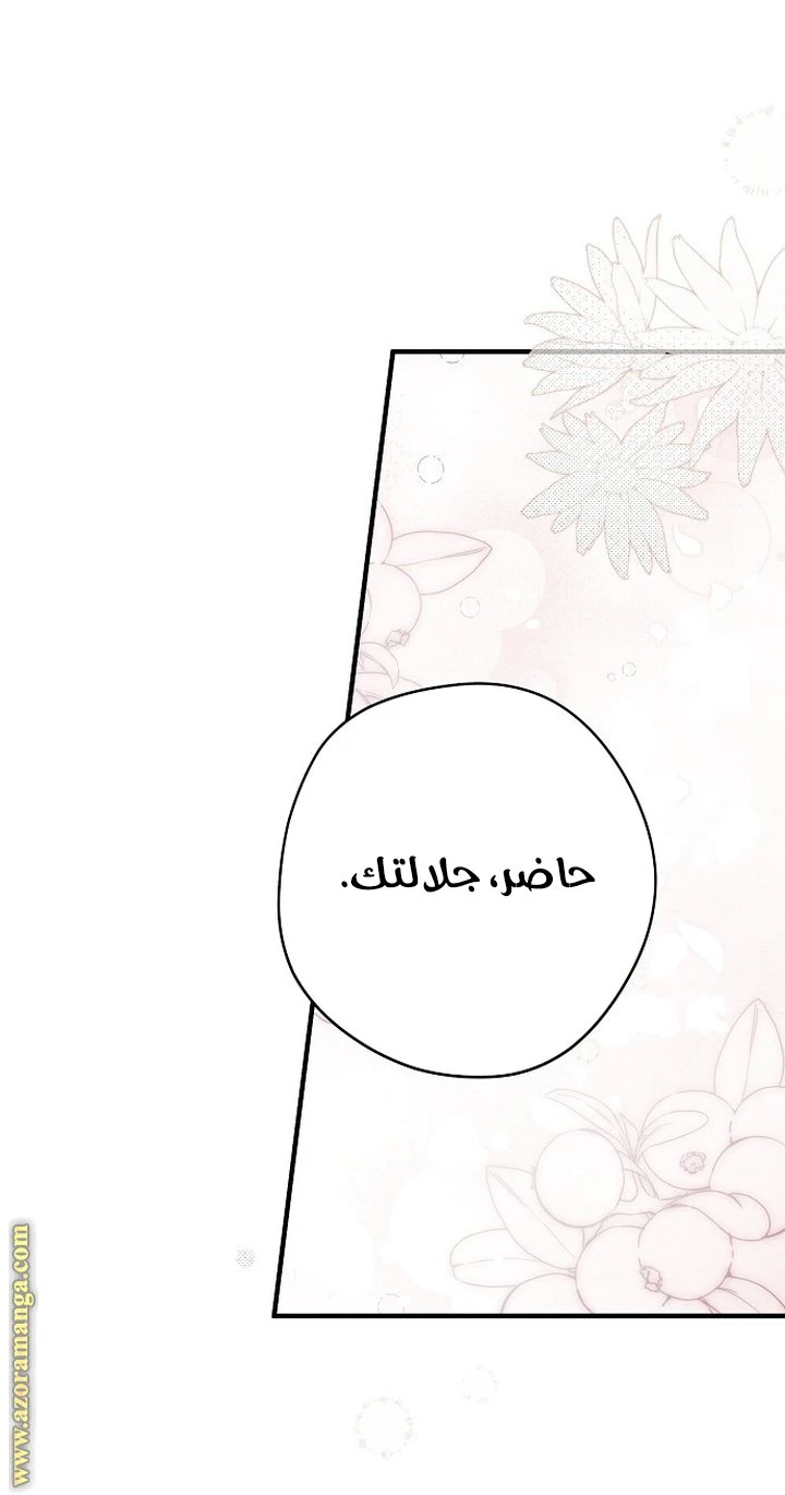 الصفحة 37