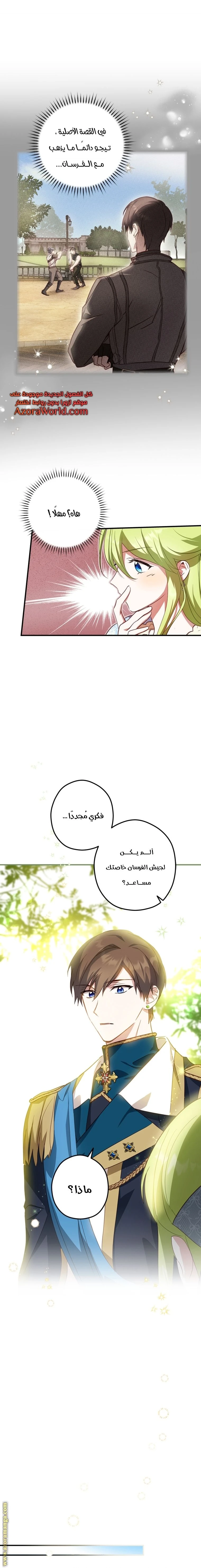 الصفحة 19