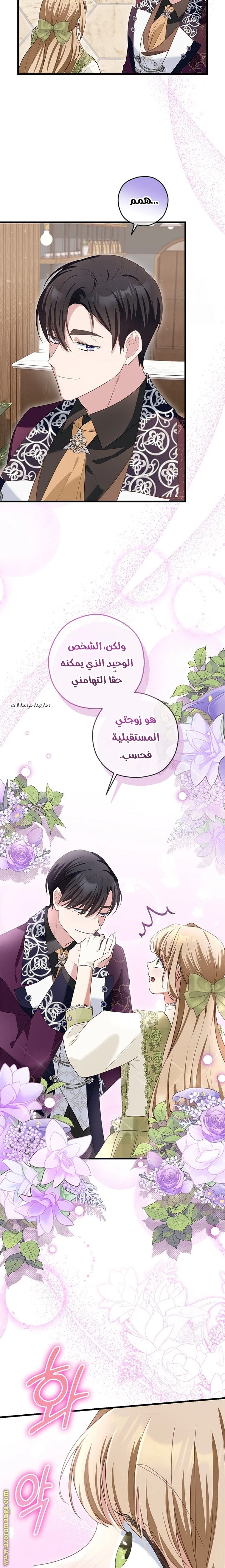 الصفحة 17