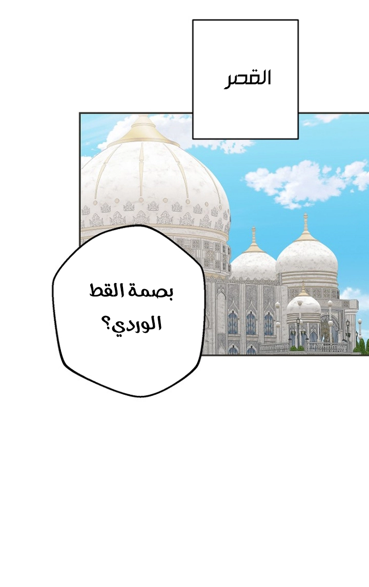 الصفحة 37