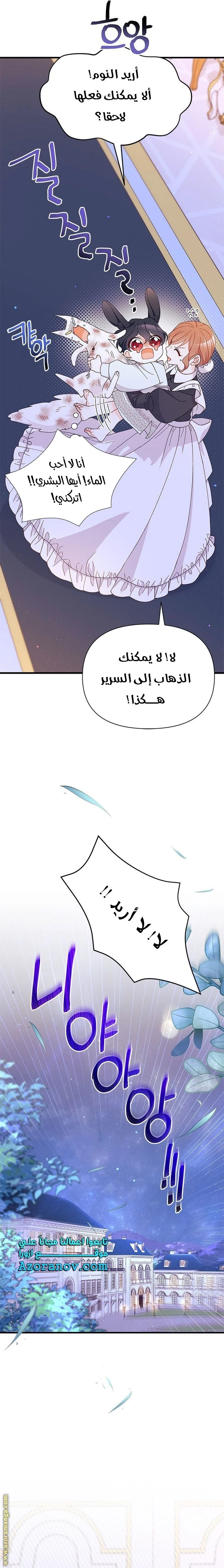 الصفحة 14