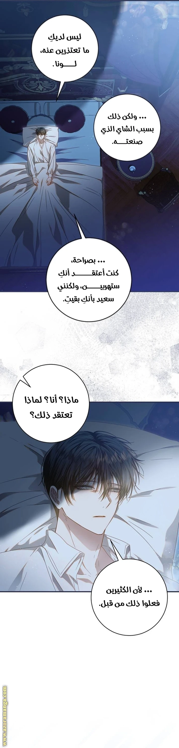 الصفحة 26