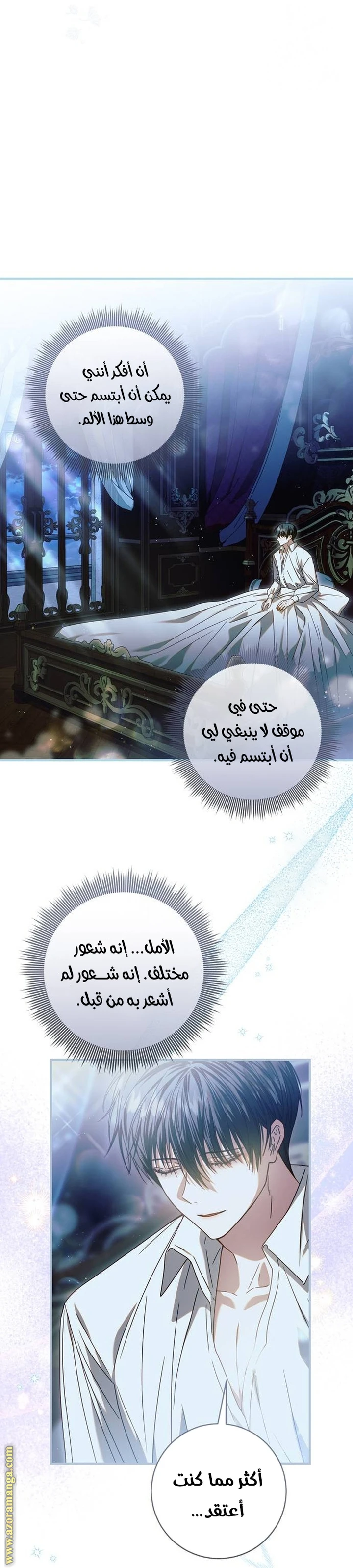 الصفحة 30