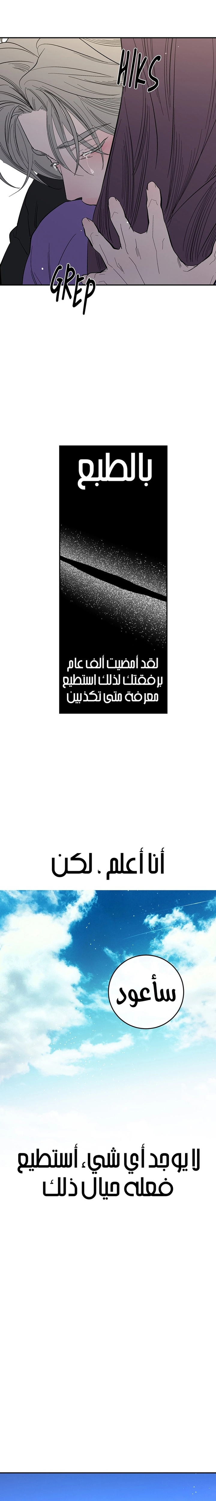 الصفحة 20