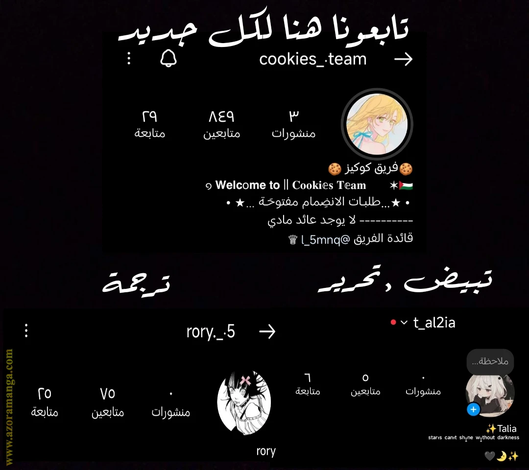 الصفحة 13