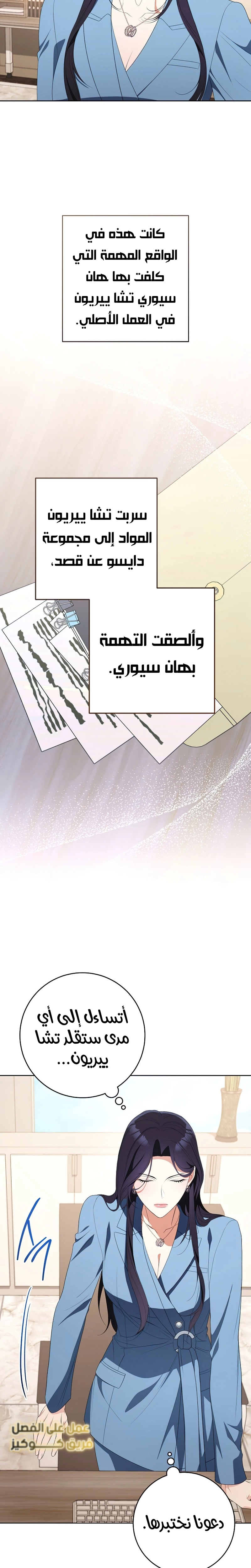الصفحة 13