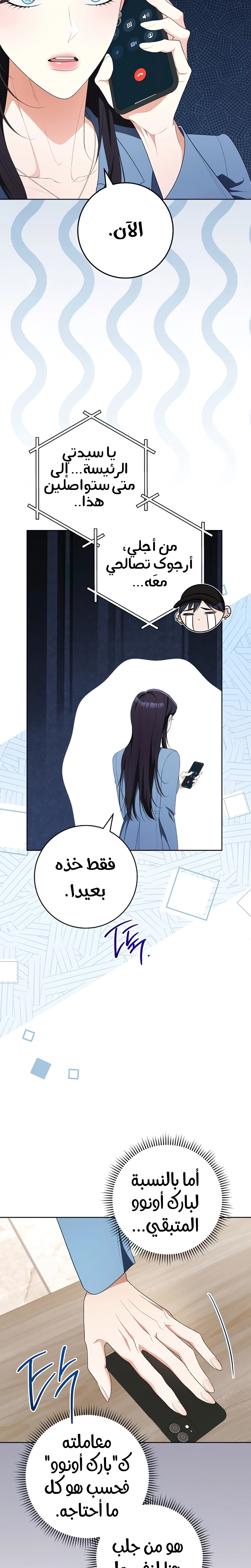 الصفحة 17