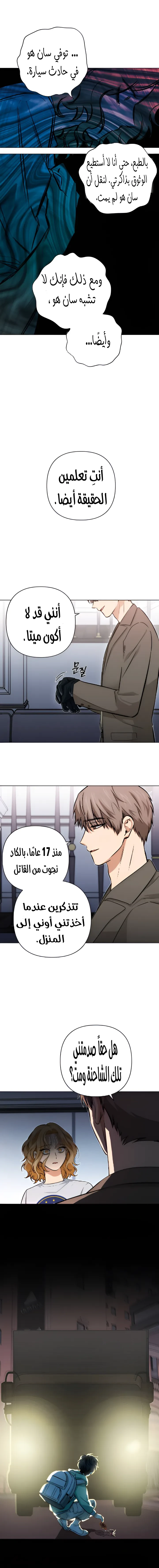 الصفحة 13