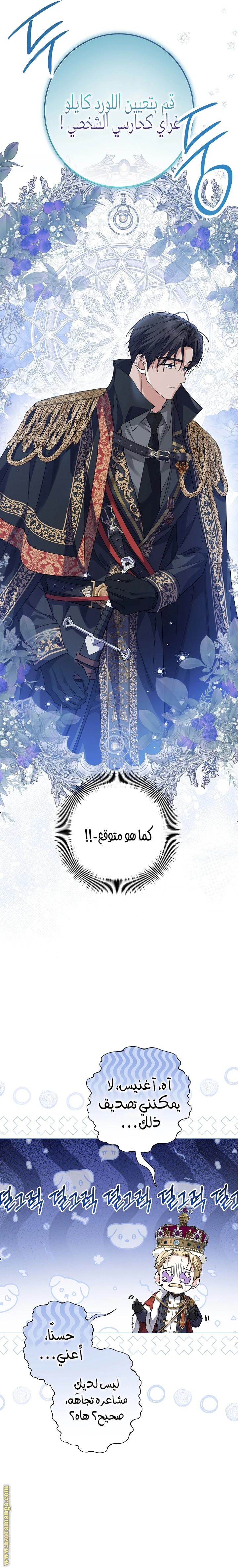 الصفحة 14