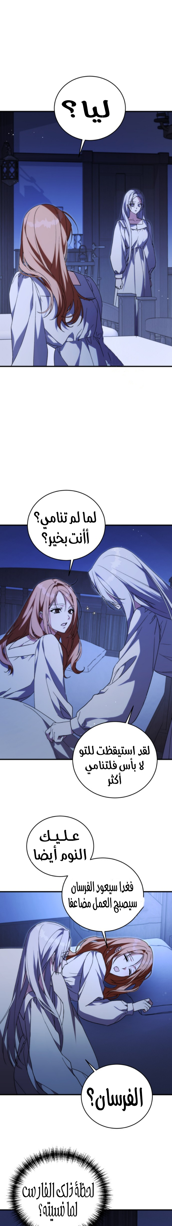 الصفحة 13