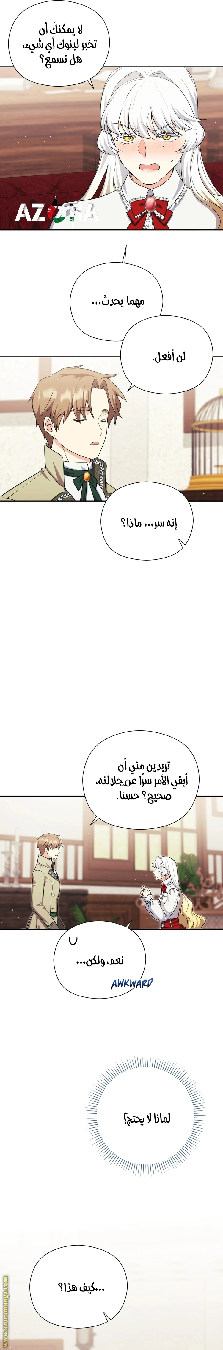 الصفحة 17