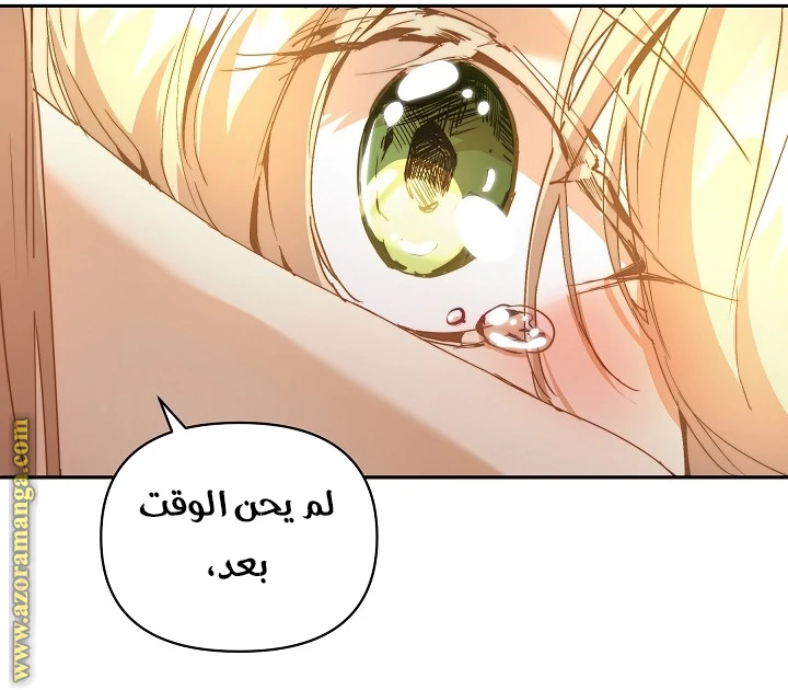 الصفحة 22