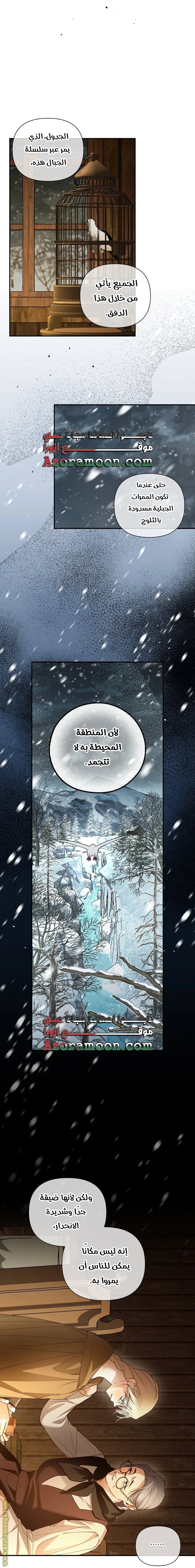 الصفحة 17