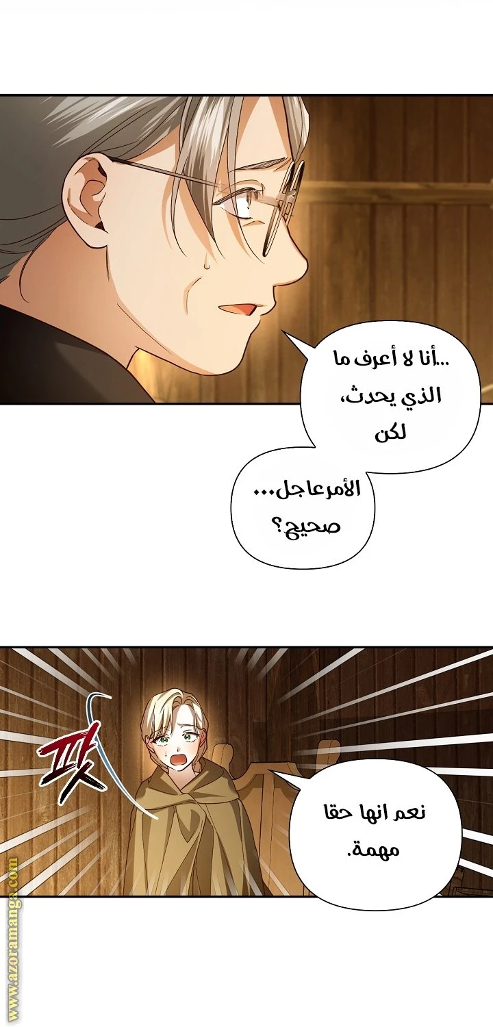 الصفحة 25