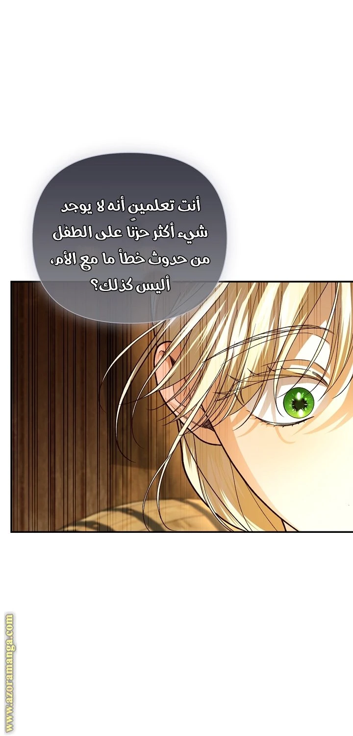 الصفحة 27