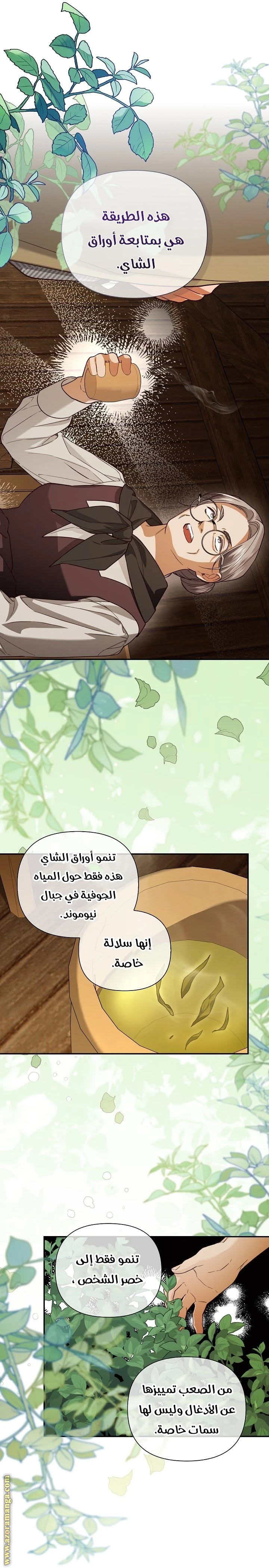 الصفحة 33