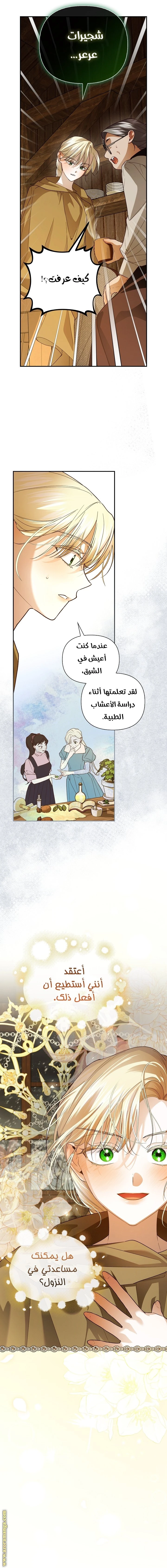 الصفحة 36