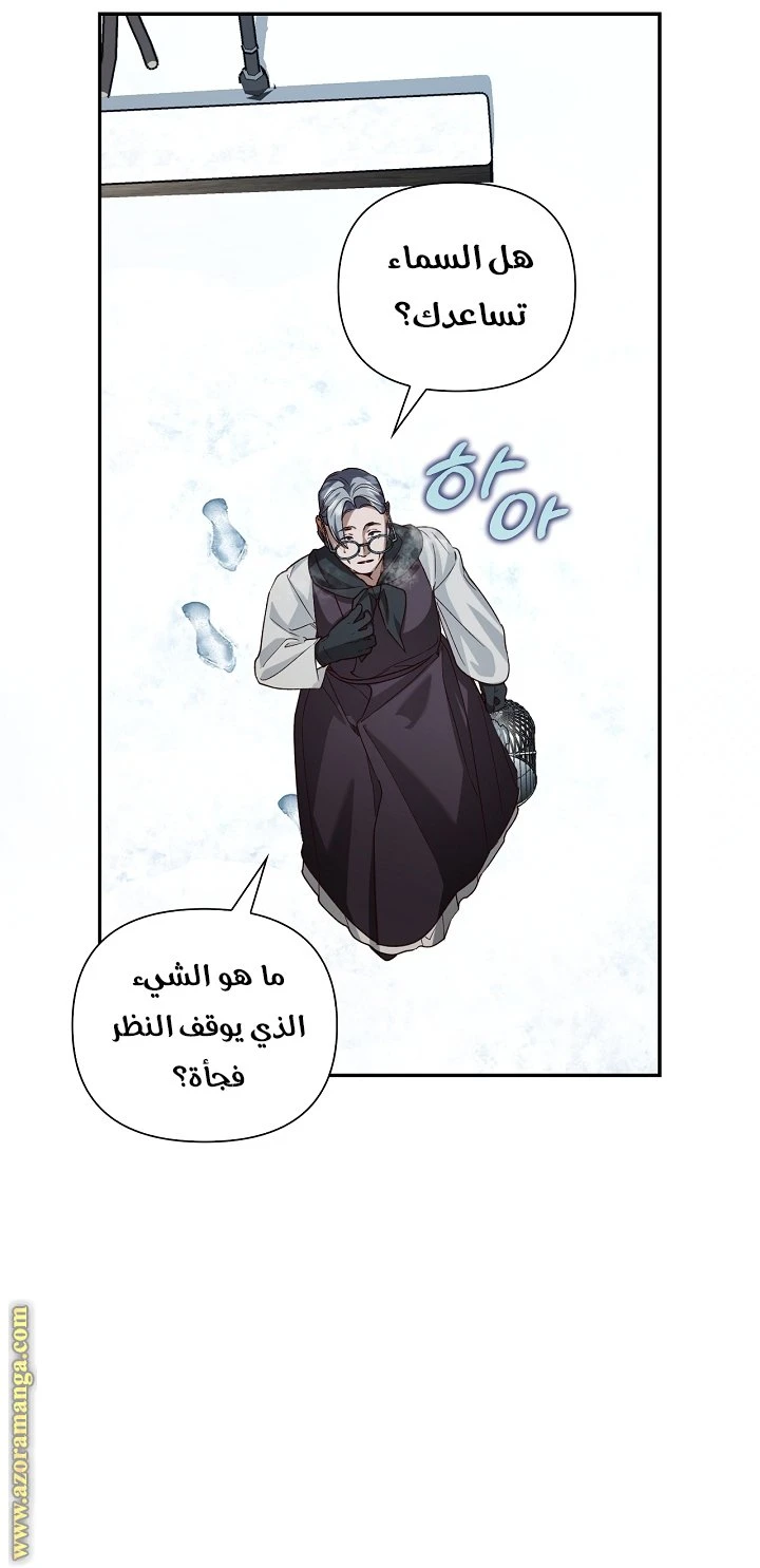 الصفحة 38