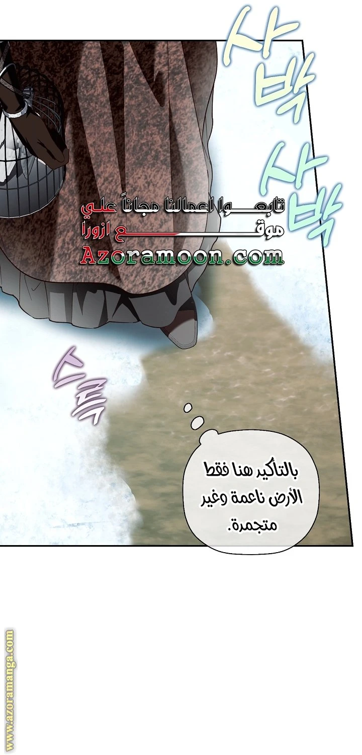 الصفحة 53
