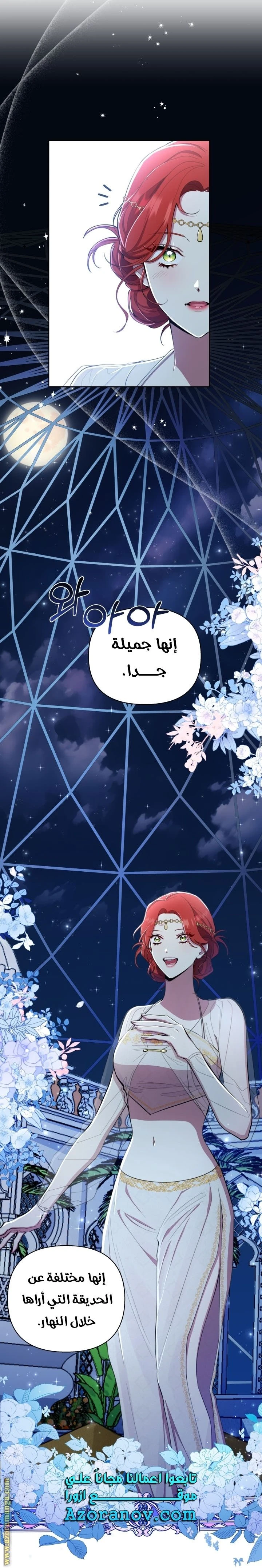 الصفحة 21