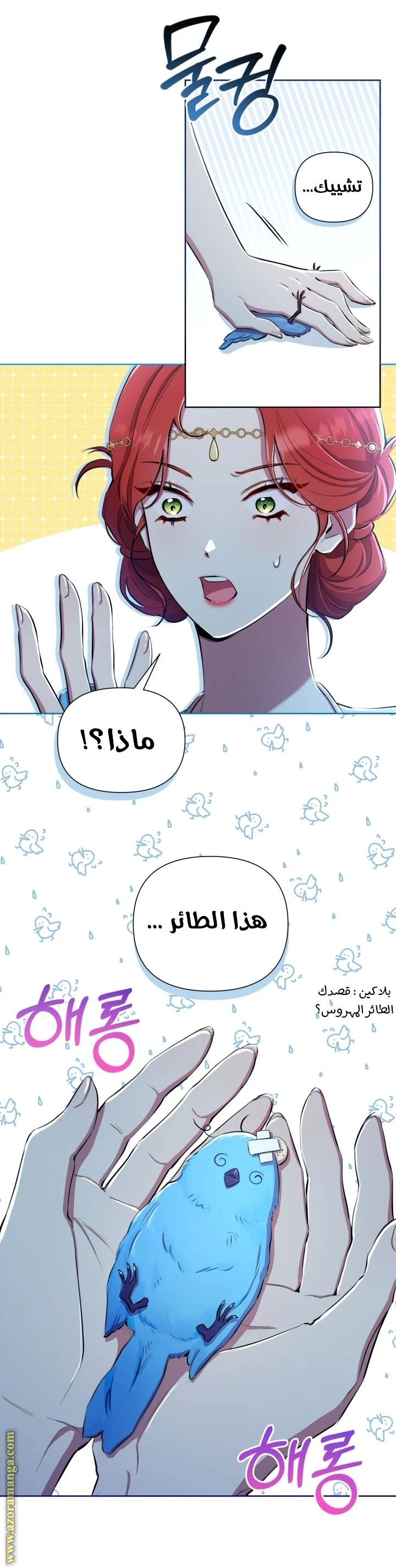 الصفحة 25