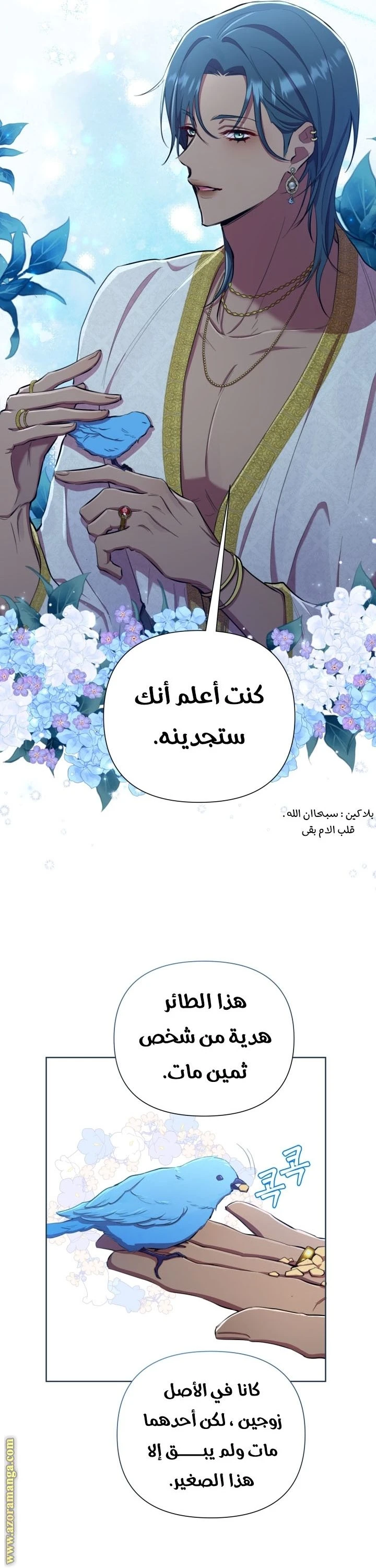 الصفحة 28
