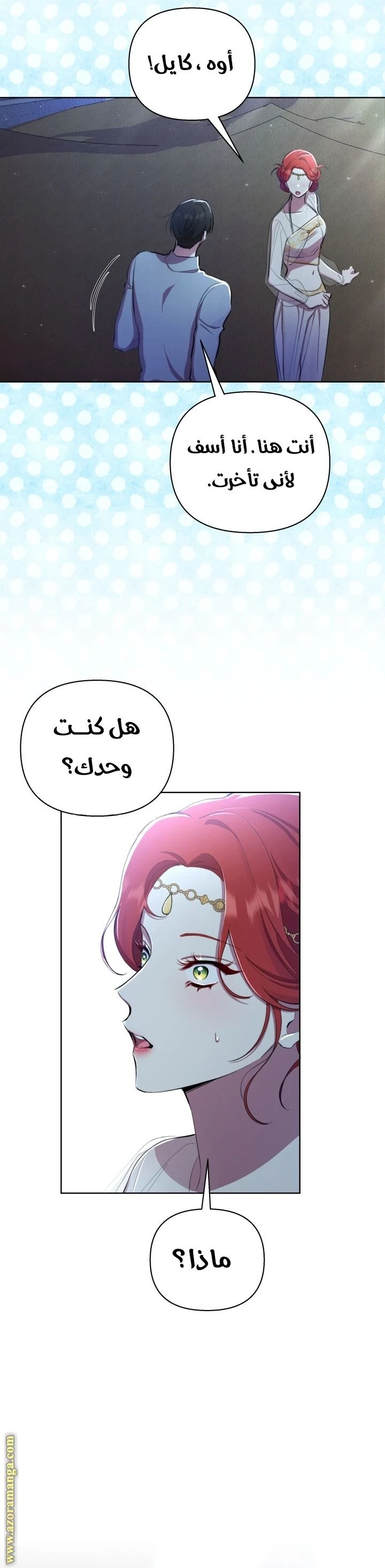 الصفحة 30