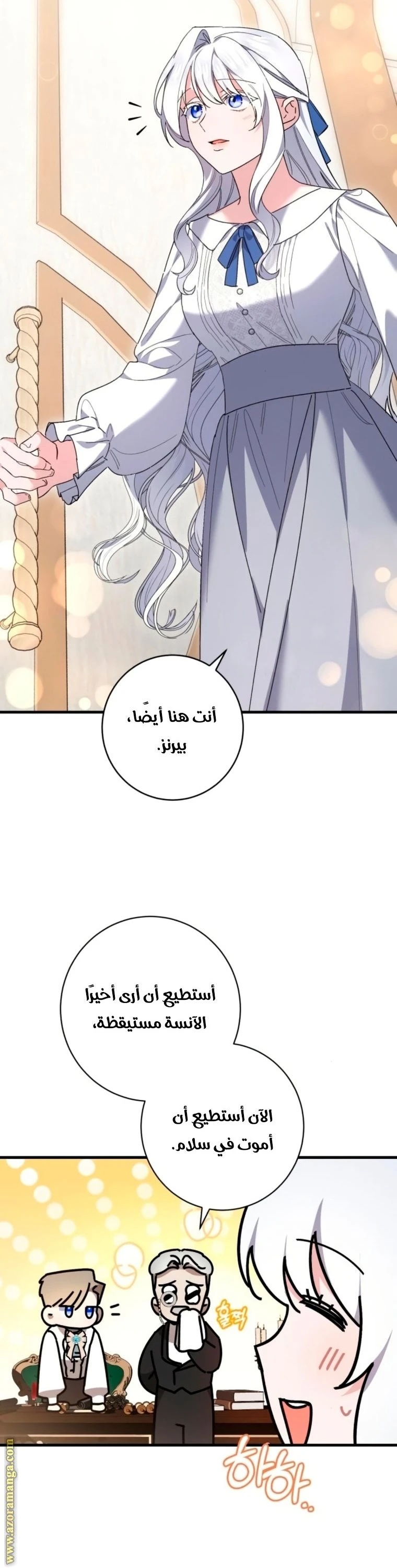 الصفحة 14