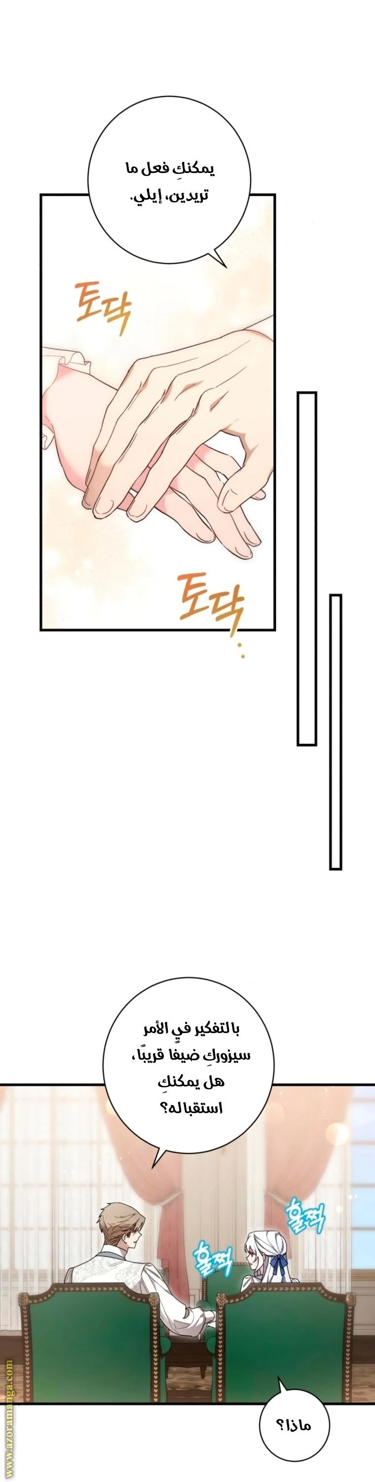 الصفحة 27