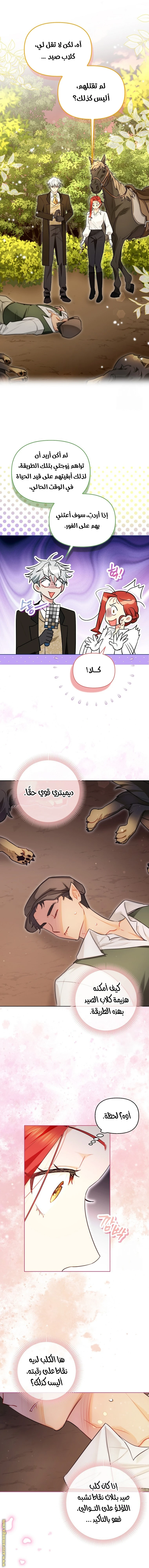 الصفحة 11