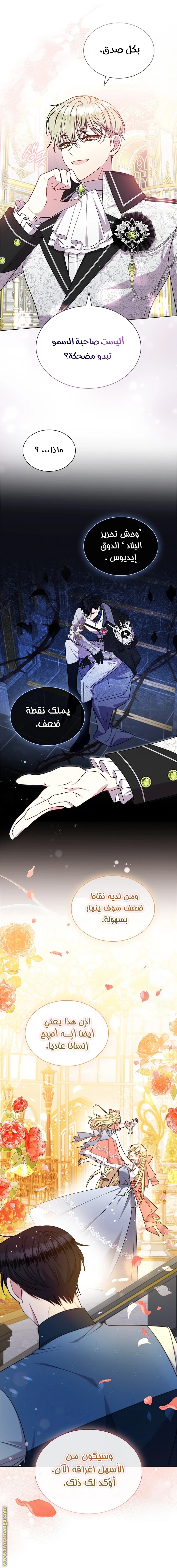 الصفحة 13