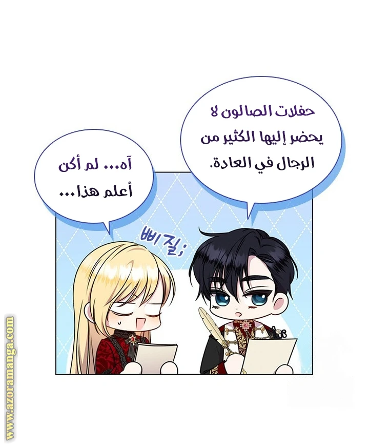 الصفحة 29