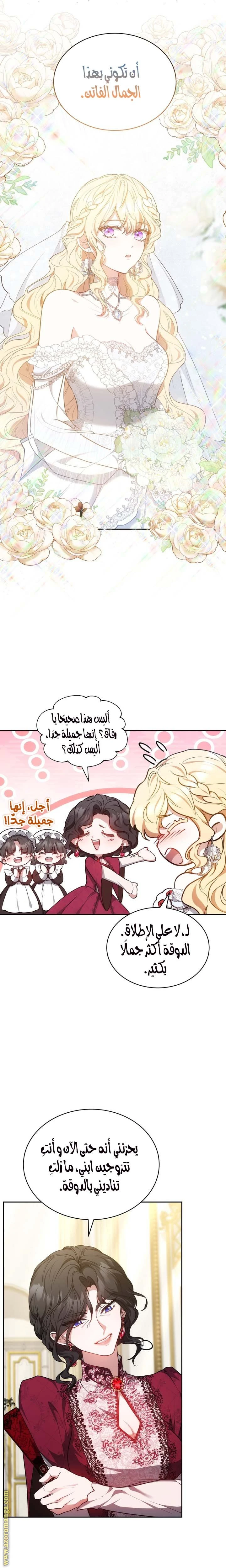 الصفحة 12