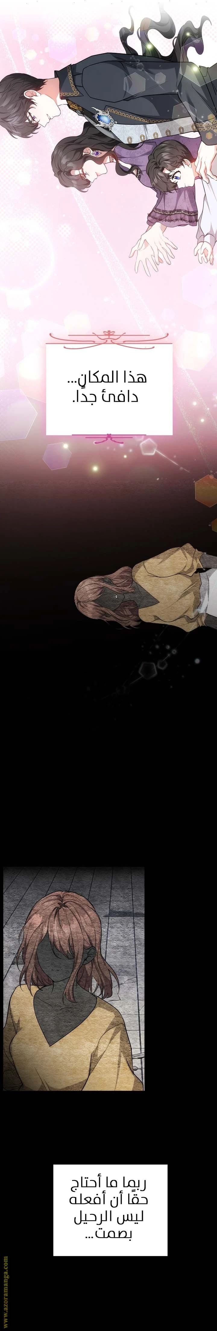 الصفحة 17