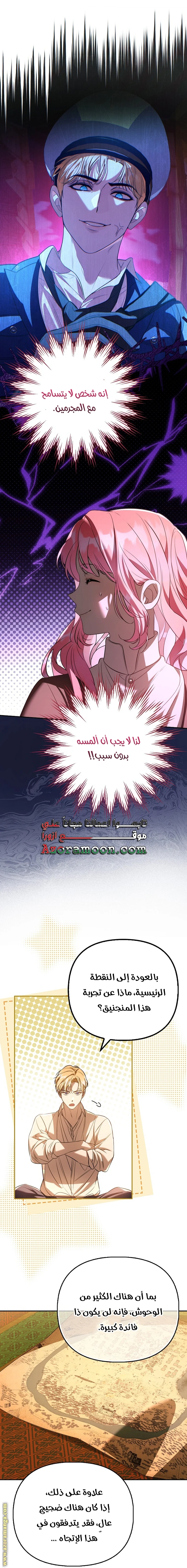 الصفحة 17