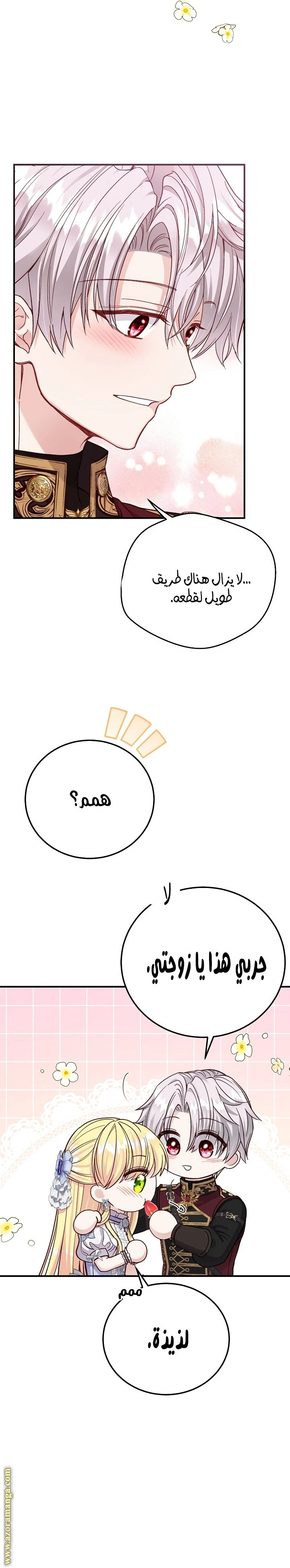 الصفحة 14