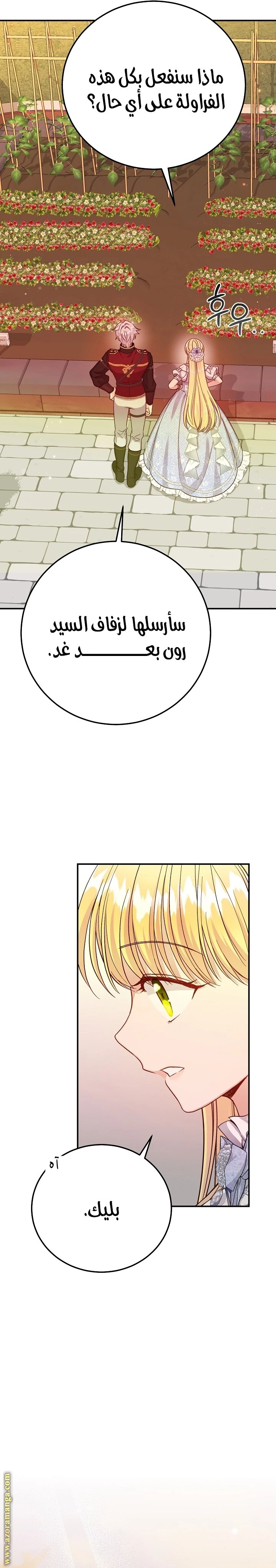 الصفحة 15