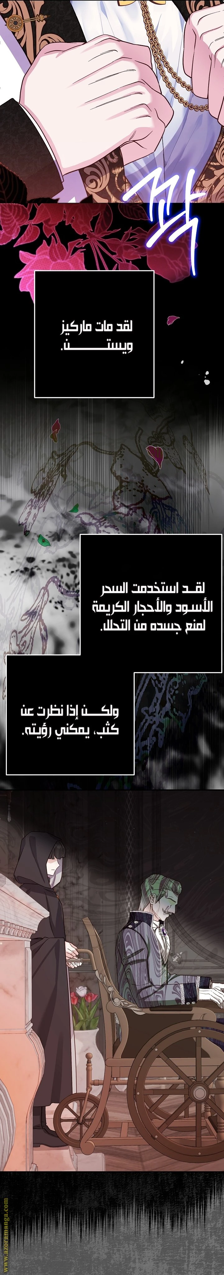 الصفحة 19